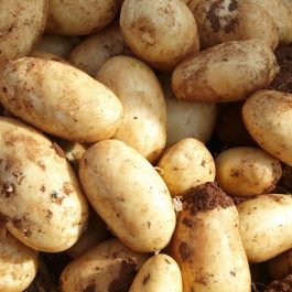 patatas Torribas