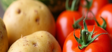 patata tomate Torribas